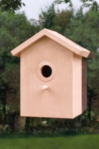 See Through One Way Mirrored Bird House - Suction Cup Window Mounted Bird Nesting Box #TOP1