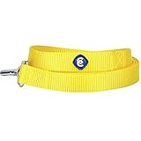 Blueberry Pet 19 Colors Durable Classic Dog Leash 5 ft x 3/4