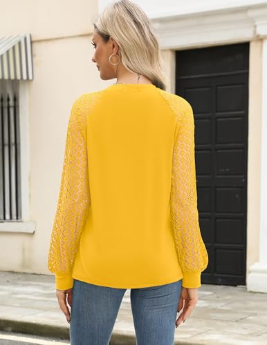 Image of HOTOUCH Women's Lace Long Sleeve Spring Dressy Casual Business Work Trendy Shirts