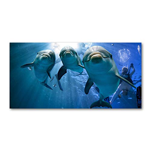 Art mural tirages sur toile animaux grand format bleu dauphins