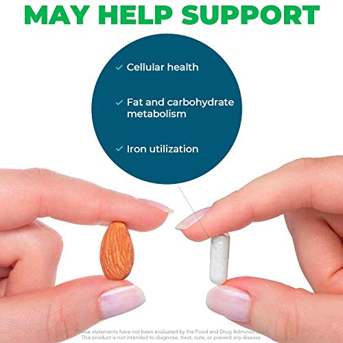 Seeking Health Molybdenum 500, Molybdenum Glycinate Chelate Supplement To Support Healthy Detoxification, Supports Metabolism And Iron Utilization, Vegetarian (90 Capsules) #TOP3