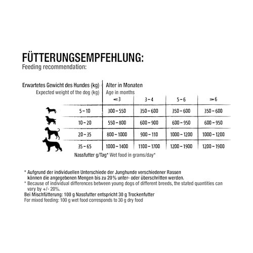 BELCANDO Nassfutter für Hunde, Junior Geflügel mit Ei, 6X 800g Dose, Hundefutter nass, für alle Rassen, Made in Germany