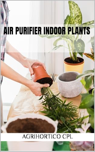 Air Purifier Indoor Plants (Indoor Gardening)