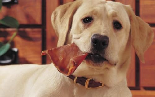 Premium-Natural-Whole-Pig-Ears-Easily-Digestible-Non-Rawhide-Dog-Chews-Long-Lasting-Treats-Snacks-for-Dogs-Pack-of-25 Premium Natural Whole Pig Ears Easily Digestible Non Rawhide Dog Chews Long Lasting Treats Snacks for Dogs Pack of 25
