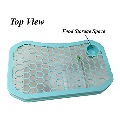 Image of Jainsons Pet Products Turtle Tank Aquarium 2 Feet (D-14) | Basking Platform, Swimming & Hibernation Area | Turtle Habitat Accessories Not Included (Assorted)
