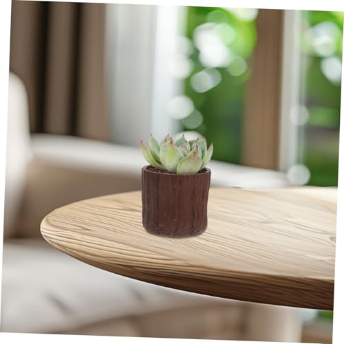 Pots de fleurs imitation bois au design miniature rustique en PP