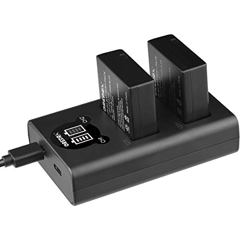 Grepro DMW-BLG10 Dual USB LCD Battery Charger with 2 Pack Battery for Panasonic