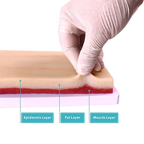 image for Aliwovo Venipuncture Practice kit Phlebotomy IV Insertion, Blood Draw,