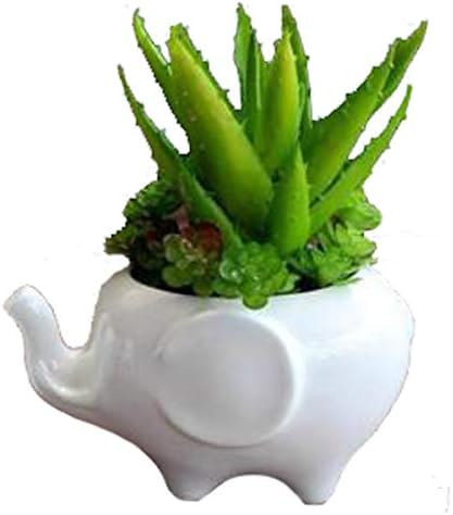 Cute Elephant Flower Pot, Modern White Ceramic Succulent Planter Pots/Mini Flower Plant Containers (Cute Elephant)