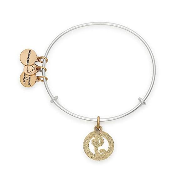 Alex and Ani Women's Initial J II Bangle Two Tone Bracelet, Rafaelian Silver