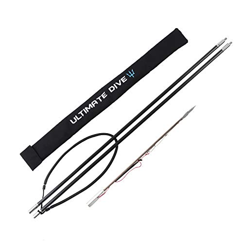 体験談 月の食費0円タダ生活 初心者が魚突きしてサバイバル自給自足のするアイテム紹介 Abroader アブローダー