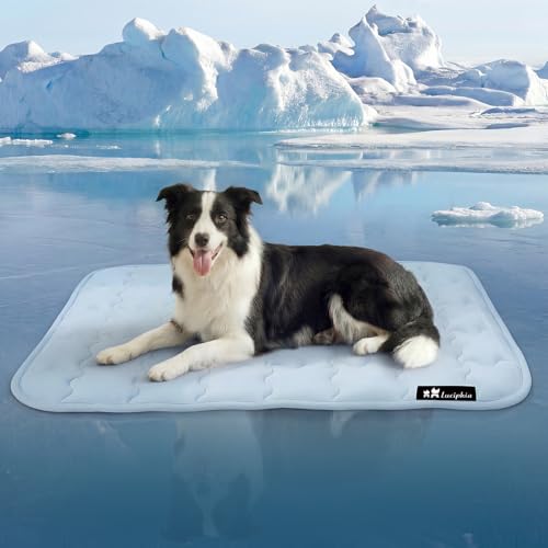 Luciphia Premium Dog Cooling Mat Non-Slip Q-MAX0.5 Self-Cooling Pad for Small Pet Cat Indoor Portable Kennel Puppy Bed for Summer Crate Pad for Dog Washable Light Blue 20x30 inches