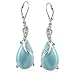 Sterling Silver Larimar Earrings (BTS-NEA3055/LR/SBT/R)