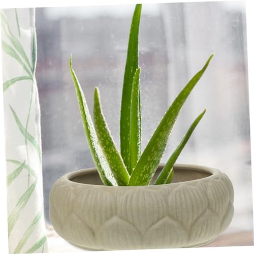 Pot de fleurs hydroponiques en céramique pour stopper l'excès d'eau