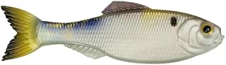 6TH SENSE Panorama Soft Plastic Lure - Lifelike Body & Realistic Paint - Versatile Rigging Options - Multiple Sizes and Pack Counts Available