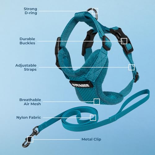 Image of Voyager Escape-Proof Step-in Lock Cat Harness & 5ft Neoprene-Handle Leash Set All-Weather Mesh with Reflective Stitching for Small to Large Cats by Best Pet Supplies, Turquoise, S