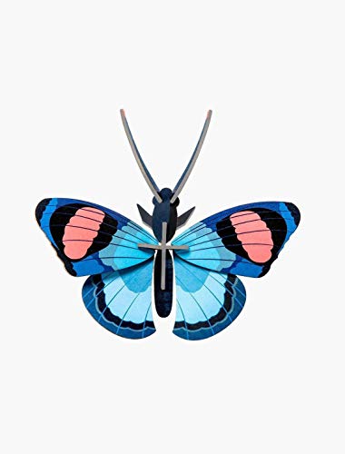 Papillon Bleu 3D Studio Roof décoration murale écoresponsable en carton