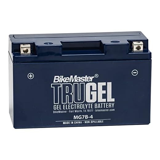 BikeMaster TruGel Battery