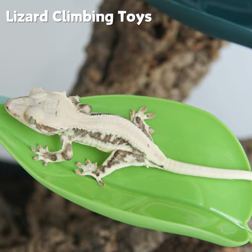 SEZDEKI Rede de répteis com ventosas cama suspensa de folha de plástico para lagartixa com crista la