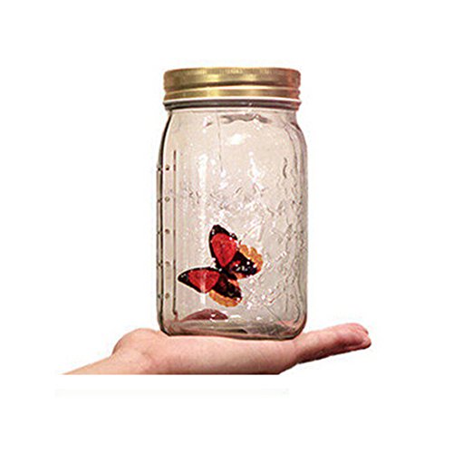 Herebuy8 Romantic Butterfly Collection- Animated Butterfly In A Jar With Led Lamp (Yellow) #TOP7