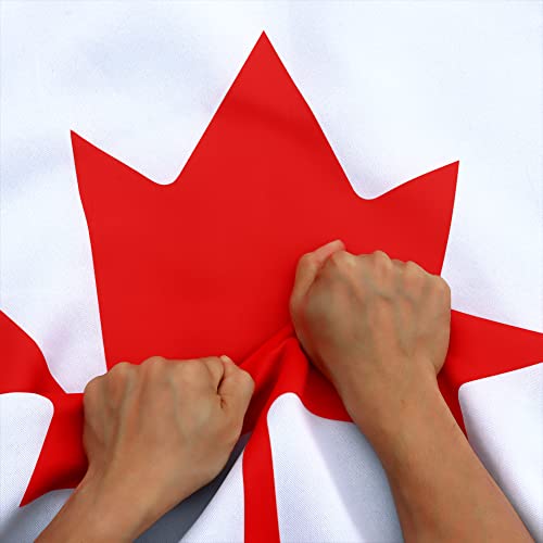 Anley Rip-Proof Double Sided 3-Ply Canada Flag 3x5 Foot - Vivid Color, Canvas Header and Wrinkle Resistant - The Strongest, Longest Lasting Canadian Flags 3 X 5 Ft