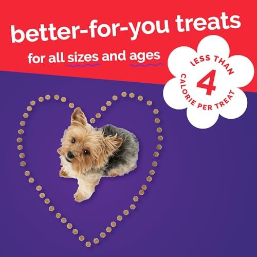 Fruitables Skinny Minis Soft & Chewy Dog Training Treats, Low Calorie Bacon & Apple Recipe, Bite-Sized Rewards for Puppies & Adult Dogs, No Wheat Corn or Soy, Made in USA, 20 oz - 4