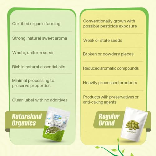 Image of Natureland Organics Fennel (Saunf) 100 gm - Organic Saunf