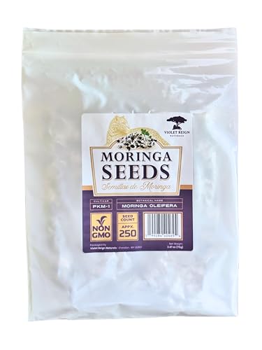 PKM-1 Moringa Seeds Non-GMO High Germination with appx. 250 Seeds (70 g)