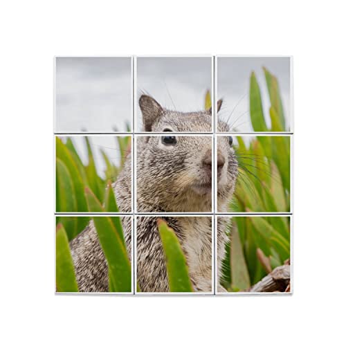 Carreaux céramique marmotte photo d'art haute définition pour cadre mural