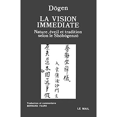 La Vision imm&eacute;diate