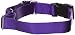 PetSafe Martingale Dog Collar with Quick-Snap Buckle - Medium, 1 Inch, Deep Purple