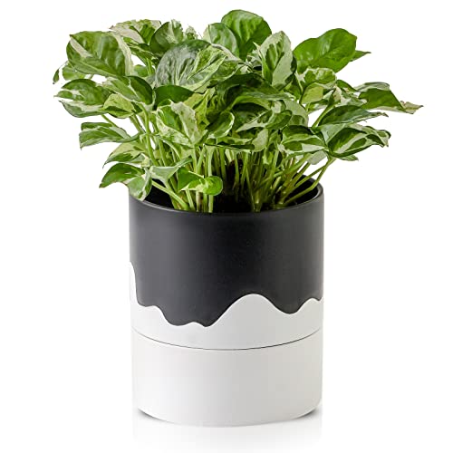 Nihow Standing Planter
