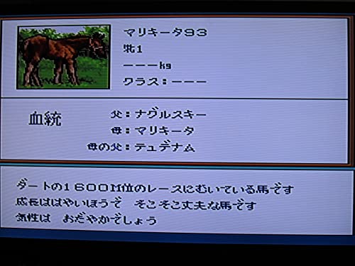 サラブレッドブリーダーの関連画像5