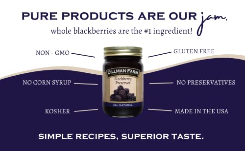 Dillman Farm All Natural Blackberry Preserves - Gluten-Free, Non-Gmo, Vegan, Kosher, Preservative Free, Corn Syrup Free - Made In Usa, 16Oz (Pack Of 6) #TOP1