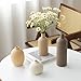 Modern Ceramic Vase Set, Neutral Colors, Decorative Vases for Home Shelf Decor, 4 Piece Collection (Coffee Mix Set 4)