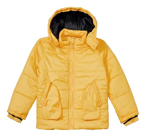 Image of Amazon Brand - Jam & Honey Boys Quilted Winter Jacket With Detachable Hood | Age 2-12 Years