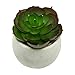 Houseables Artificial Succulent Plants, Potted Fake Succulents, 6 Pk, 4.25” x 3”, 3.5”H x 3”W, Small, Faux Flower in Pot, Assorted, Cacti, Aloe, Plant for Desk, Indoor Shelf, Office Décor