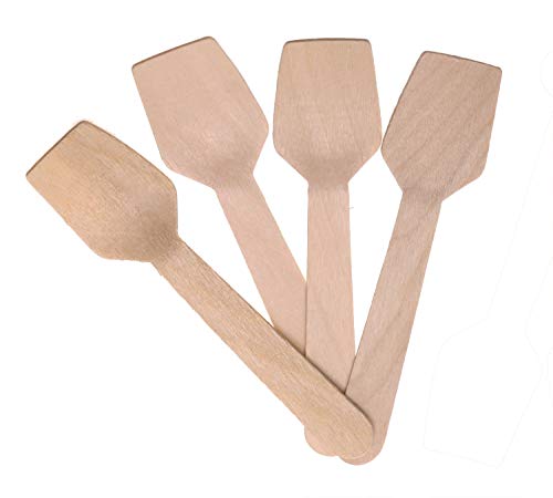 Mini Skater 200 Pcs Wood Spoons 3.7 Inch Mini Eco-Friendly Biodegradable Spoon For Ice Cream Dessert Tasting Sugar Scrub Yogurt(200) #TOP5