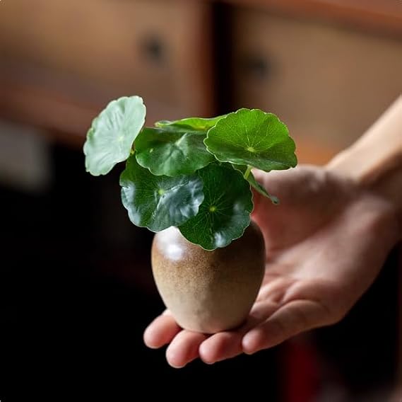 Ceramic Mini Flower Planter, Cylinder Shape Hydroponic Plant Container for Flowers, Vines, Floral Arrangements, Decorative Gift Basin