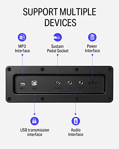 Donner Digial Piano numérique 88 touches avec support de meubles, adaptateur d’alimentation, blanc DDP-100 88 touches - Les Beatles, Paul McCartney, John Lennon, RIngo Starr, George Harrison Donner Digial Piano numérique 88 touches avec support de meubles, adaptateur d'alimentation, blanc DDP-100 88 touches – Image 7