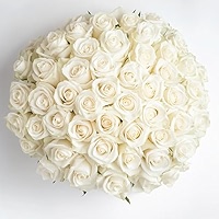 Amazon.com: GlobalRose Fresh Cut Assorted Roses - 200 Roses (8