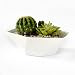 SilvineandSands 7 inch Geometric Minimalist White Planter Pot | Succulent and Flower Pot Container | Modern White Planter
