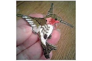 Lovely Hummingbird Embroidered Applique Garden Patch 2-3/4" Colorful Badge for Clothing Accessories Jacket