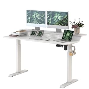 Fenge Standing Desk,55×24 Inches Electric Height Adjustable Stand up Desk,2 Tier Sit Stand Home Office Desk,Memory…