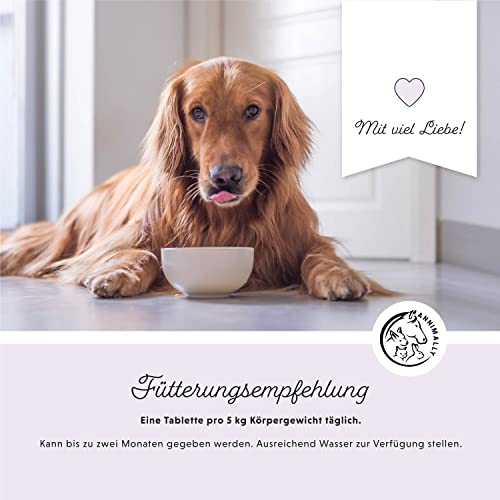 Annimally® Probiotika für Hunde mit 1,5 Mrd. KBE - 120 Tabletten für eine gesunde Darmflora - Darmbakterien zur Darmsanierung & bei Durchfall für den Hund - Immunsystem stärken
