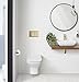 Swiss Madison Well Made Forever Wall Mount Dual Flush Actuator Plate with Square Push Buttons in Brushed Brass (SM-WC002Z)