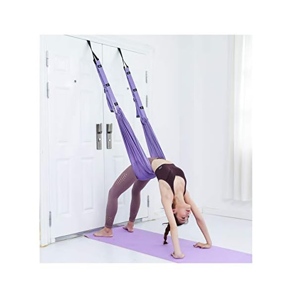 Leg Stretcher Strap, Stretching Equipment with Door Anchor Flexibility Trainer Backbend Assist Stretch Out Strap for Dance Aerial Yoga Ballet Leg Stretching Exercise