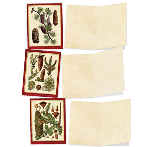 10 Assorted ‘Pining For Christmas’ Holiday Note Cards With Envelopes (Mini 4” X 5.25”), Blank Greeting Cards With Vintage Pine Cones, All Occasion Stationery For New Year, Winter, Hanukkah #M9627Ocb #TOP4