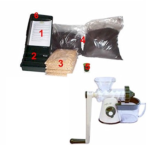Large Wheatgrass Growing Kit Grow Fresh Wheat Grass With Manual Lexen Juicer