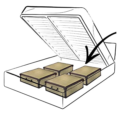 KANGURU SET 2 PEZZI Scatole in cartone per sotto